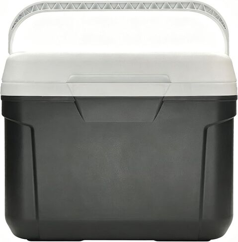 30 Qt Hard-Sided Cooler, 42-Can Insulated Ice Chest with Carry Handle, Gray in Kuwait