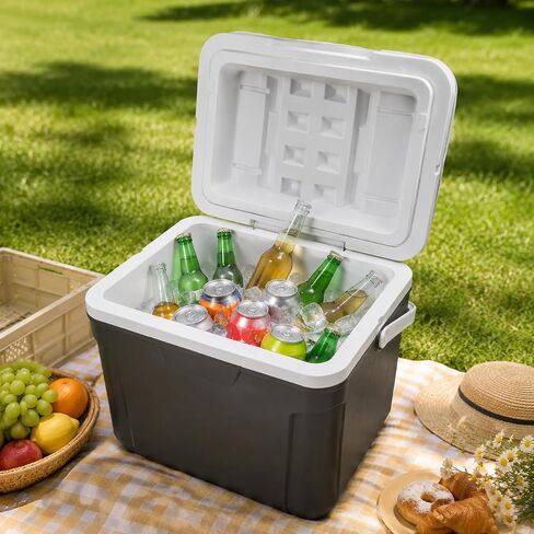 30 Qt Hard-Sided Cooler, 42-Can Insulated Ice Chest with Carry Handle, Gray in Kuwait