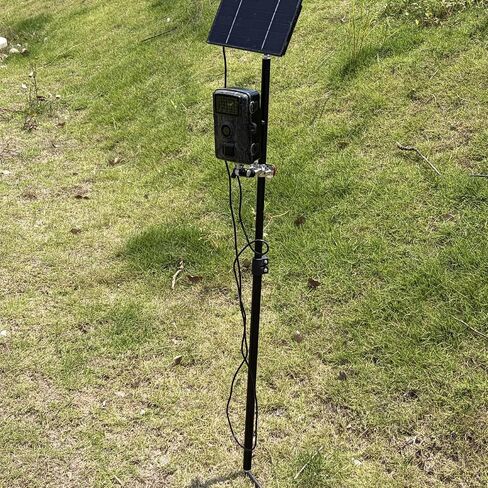 Trail Camera Stand 1/4" Tripod Multi-Pivot Stable Rugged Steel Hunting Trail Camera Post in Saudi Arabia