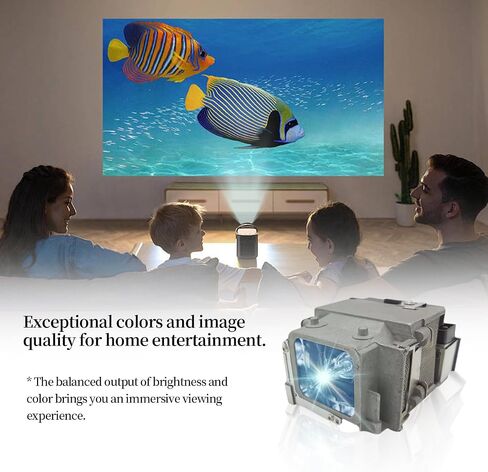 ELP LP65 Replacement Projector Lamp Bulb Compatible With Epson EB-1760W 1761W 1751 1771W PowerLite 1776W 1761W 1771W 1750 1775W in Kuwait