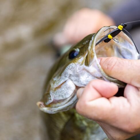 SF Hand Tied Loop Fly Fishing Tapered Leader Freshwater Trout in Kuwait
