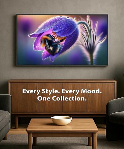 Digital Art USB - TV Art - Dream Digital Art Edition in Kuwait