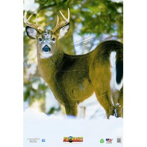 Deer Archery Target - Variety of Broadside & Quartering Target, 28" x 40" Photo Realistic Deer Shooting Target for Bow and Arrow Archery, Vanishing Vital Zones, Weather Resistant, USA-Made in Kuwait