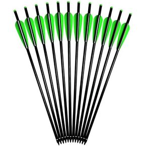 Crossbow Bolts Aluminum Arrows 16 18 20 22 inch Half Moon Nock 4 inch Vanes for Outdoor Hunting Pack of 12 in Saudi Arabia