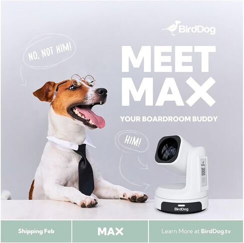 BirdDog MAX 8.29MP 4K Ultra HD NDI|HX3 HDMI/IP 12x PTZ Camera - Black in Saudi Arabia