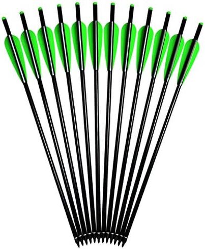 Crossbow Bolts Aluminum Arrows 16 18 20 22 inch Half Moon Nock 4 inch Vanes for Outdoor Hunting Pack of 12 in Saudi Arabia