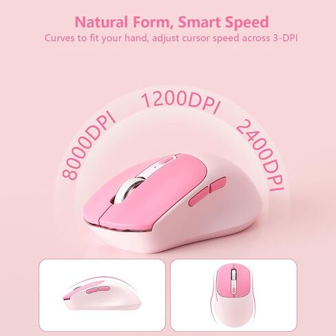 Wireless Keyboard and Mouse Combo, Full-Size USB Keyboard with Back Stand, 2.4GHz Wireless for Desktop, Laptop and Computer in Kuwait