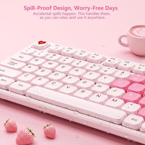 Wireless Keyboard and Mouse Combo, Full-Size USB Keyboard with Back Stand, 2.4GHz Wireless for Desktop, Laptop and Computer in Kuwait