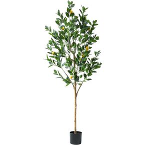 Tall Artificial LemonTree 6ft(72in), Faux Lemon Tree with Realistic Smooth and Shiny Leaves and Big Fruits， Fake Trees Indoor Outdoor for Home Office Living Room Bedroom Foyer Porch Decor.