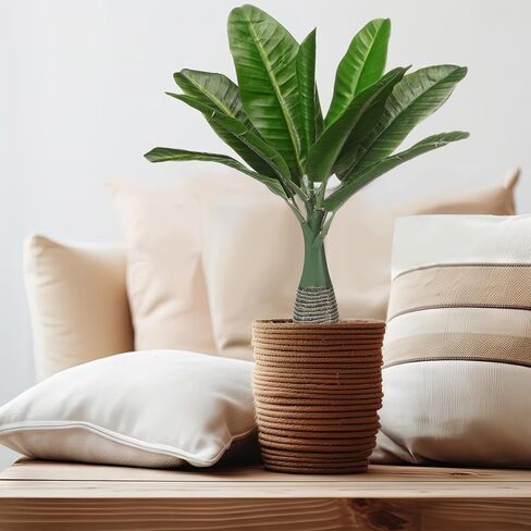 قطعتان من شجرة النخيل الصغيرة شجرة النخيل الاصطناعية 17 بوصة نباتات صناعية صغيرة من البلاستيك أوراق اصطناعية وهمية شجرة النخيل نباتات استوائية صناعية صغيرة لرف مكتب المكتب والحمام والمنزل الداخلي والخارجي in Kuwait