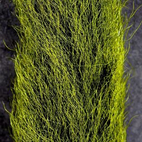 Hareline Calf Tail (Olive) in Kuwait