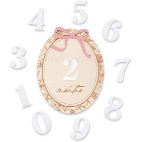 Baby Monthly Milestone Set, 1–12 Month Photo Markers, Newborn Photography Props, Growth Memory Cards, Nursery Decor (Pink D23) in Saudi Arabia