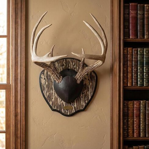 Deer Antler Plaque Master Mount by Illusion Systems, Mossy Oak Bottomland Deer Antler Mount with Universal Sizing in Kuwait
