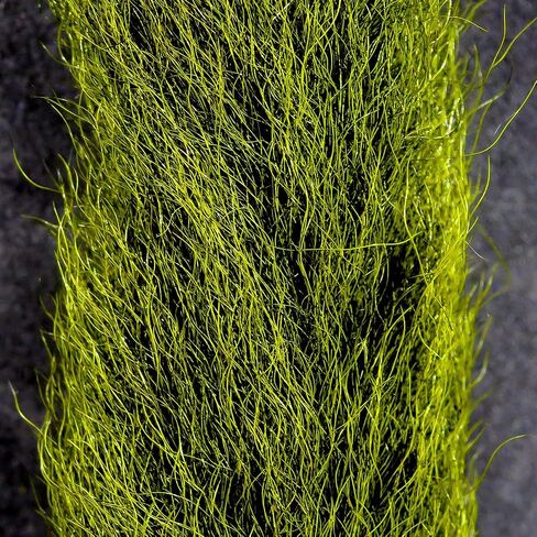 Hareline Calf Tail (Olive) in Kuwait