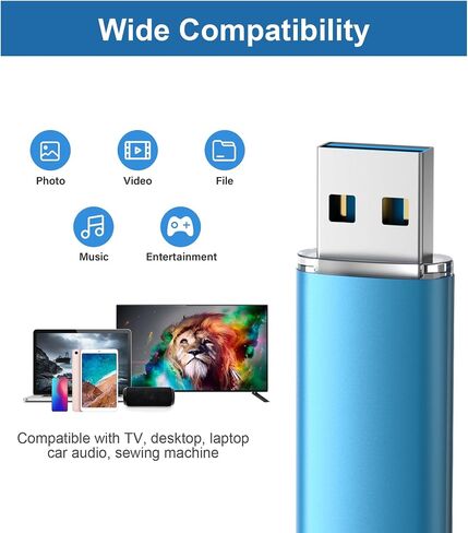 16GB 1PCS Flash Drive USB 2.0 Flash Drive Thumb Drive Jump Drives Keychain Memory Stick-Blue in Kuwait
