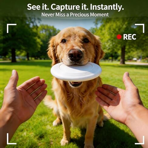 Smart Glasses with Camera, 4K HD Video, 1080P Video Recording & Photo Capture, Open-Ear Bluetooth Audio, AI Translation & Voice Assistant, Dual Lens Wearable Sunglasses for Travel Sports in Kuwait
