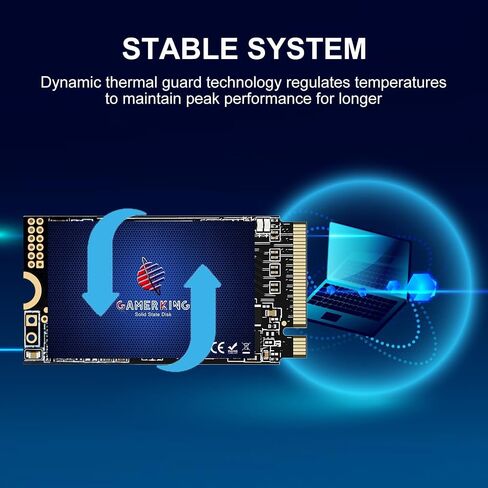 GAMERKING SSD 128GB M.2 2242 NVMe PCIe Gen3.0x4 22x42mm in Kuwait