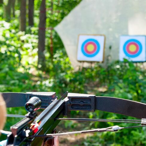 18Pcs 22 Inch Crossbow Bolt Hunting Carbon Arrows in Kuwait