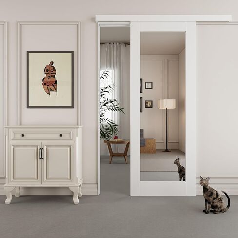White Full Lite Mirror Hidden Barn Track with Door, 18" x 80" in Kuwait