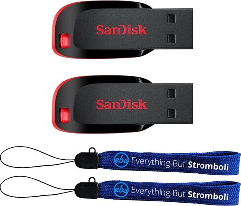 SanDisk Type A Flash Drive 128GB (2 Pack) Blade Thumb Drive SDCZ50-128G-B35 - Bundle with (2) Everything But Stromboli Lanyards in Kuwait