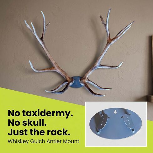 Whiskey Gulch Elk, Moose & Deer Antler Mounting Kit, Wall Display Mount in Kuwait