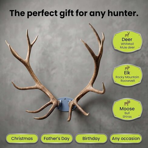 Whiskey Gulch Elk, Moose & Deer Antler Mounting Kit, Wall Display Mount in Kuwait