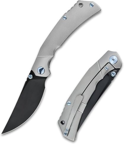 Reaver Titanium Pocket Knife, 3.82'' S90V Blade Titanium Handle Frame Lock Folding Pocket Knives, EDC Knife Gift for Men Women Outdoor Camping, Hiking, Fishing (Bead Blast & Blue) in Saudi Arabia