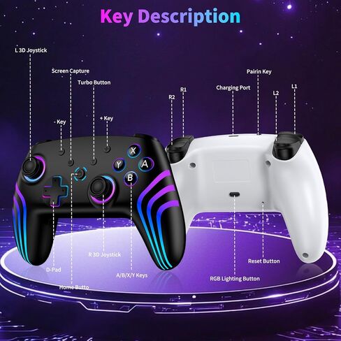 VidPPluing 2 Pack Switch Controllers with Charging Dock, RGB Switch 2 Controller for Nintendo Switch 1/2/Lite/OLED, Wireless Pro Controller with Motion Sensor/Vibration/Turbo/Wakeup Function in Kuwait