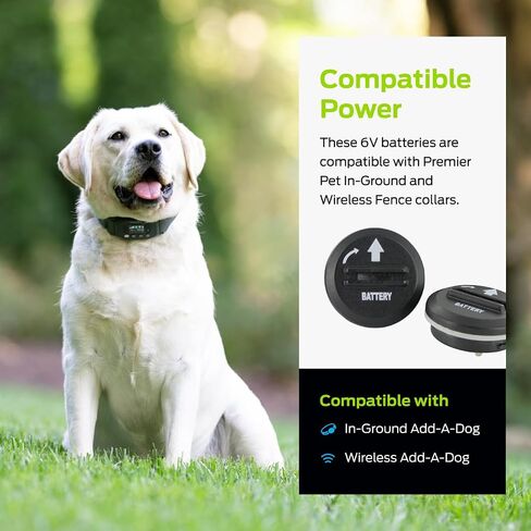 Premier Pet 6V Lithium Batteries, Pack of 2 in Kuwait