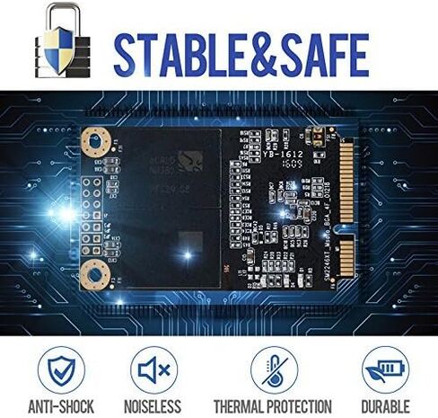SSD MSATA 64GB Shark Speed Internal Solid State Drive High Performance Hard Drive for Desktop Laptop SATA III 6Gb/s Includes SSD (64GB, MSATA) in Kuwait