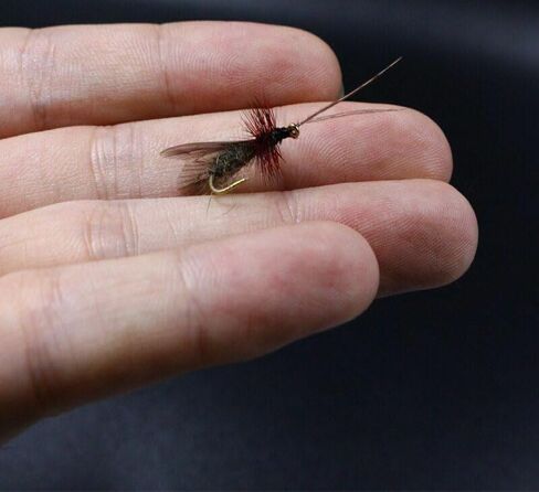 36pcs Realistic Caddis Wings 2sizes Mixed Pre-Cut Fly Tying Wings Materials DIY in Kuwait