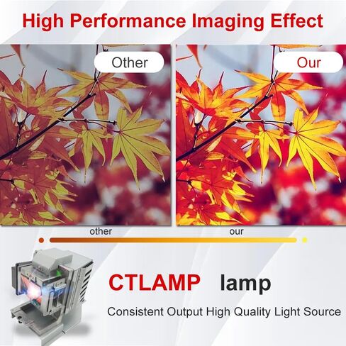 A+ Quality RLC-106 Replacement Projector Lamp Bulb with Housing Compatible with Viewsonic PJ1065-1 Pro9520WL PRO9530HDL PJ1065-2 Pro9510L in Kuwait