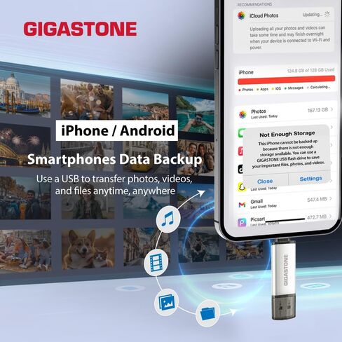 GIGASTONE 16GB Dual Flash Drive (5 Pack) V40S USB 2.0, 2-in-1 Type-A & Type-C, High Speed, Head Cap Design, Plug & Play for Smartphone/PC/Mac/TV/Car Audio in Kuwait