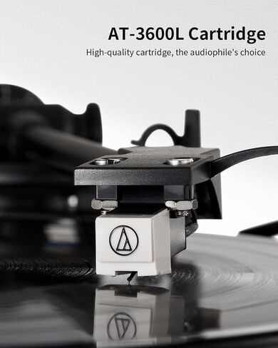ANGELS HORN Bluetooth Vinyl Record Player with Built-in Speakers & Record Weight Stabilizer Bundle in Kuwait
