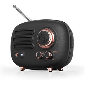 Muzen Wild Radiooo Portable Bluetooth Speaker, FM Radio Speaker with Portable Shoulder Strap, Vintage Rugged Wireless Speaker, Metal Outer Case, Loud Stereo Sound, for Home Outdoor Travel Camping in Kuwait