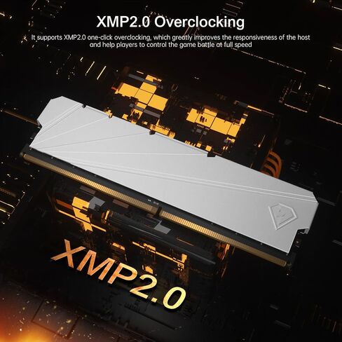 Netac DDR4 DRAM 32GB Kit16GBx2 C16 3200MHz XMP 2.0 Dual Channel RAM (PC4-25600) 1.35V 288-Pin Upgraded Aluminum Heat Sink Ideal for Gaming Computer Upgrade - Shadow S4 in Kuwait