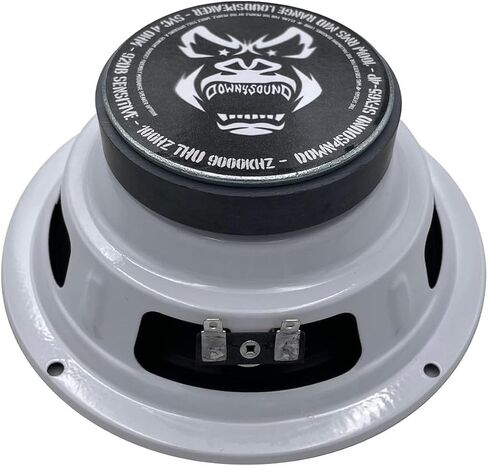 Down4Sound SFX65-4P 6.5 Inch Midrange Car Audio Speakers 4 Ohm 200W RMS Pair in Saudi Arabia