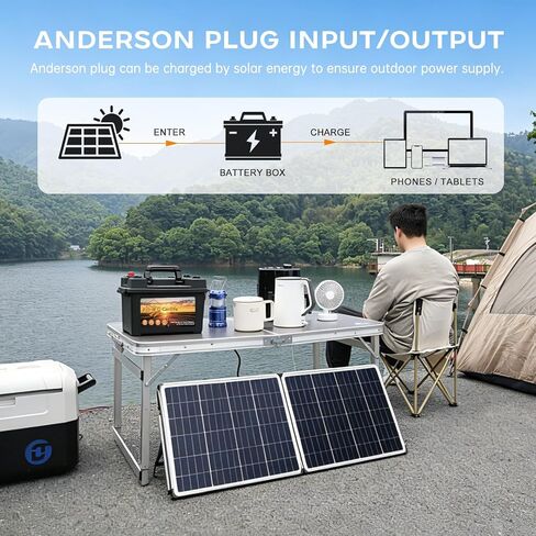 Battery Box for 30Ah/20Ah/10Ah, Waterproof Battery Box with Anderson Plug and Dual QC3.0, 12V Marine Case 30Amp Connectors for Lifepo4, RV, Camping, Boat, Trailers, Hunting in Kuwait