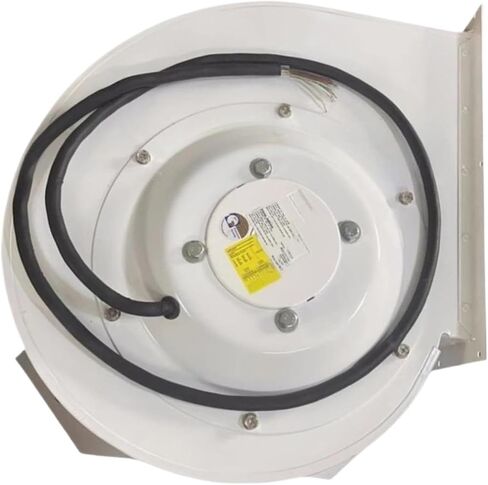RG31P-4DK.6K.1L Fan in Kuwait