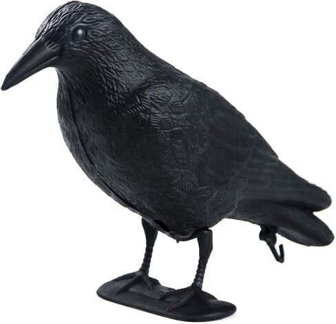 Plastic Crow Decoy w/Feet for Hunting, Realistic Full Body with Stake in Saudi Arabia