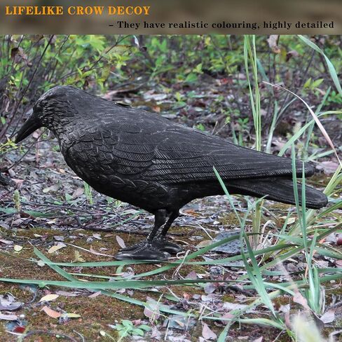 Plastic Crow Decoy w/Feet for Hunting, Realistic Full Body with Stake in Saudi Arabia