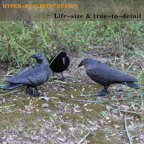 Plastic Crow Decoy w/Feet for Hunting, Realistic Full Body with Stake in Saudi Arabia