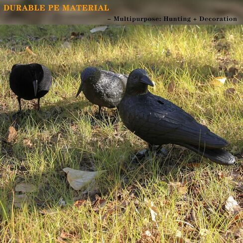 Plastic Crow Decoy w/Feet for Hunting, Realistic Full Body with Stake in Saudi Arabia