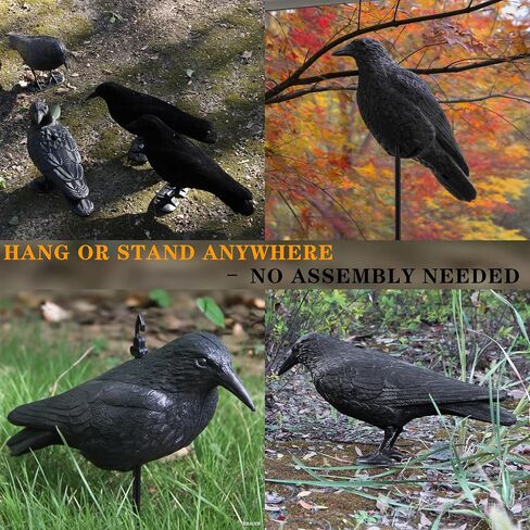 Plastic Crow Decoy w/Feet for Hunting, Realistic Full Body with Stake in Saudi Arabia