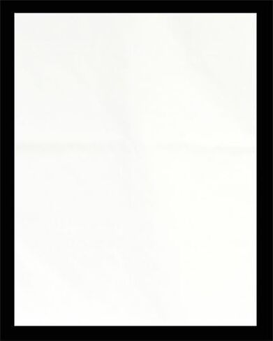 White Muslin Backdrop Support System Kit, 10 x 20 White Muslin Backdrop Background Stand Kit, Carrying case Included for Backdrop Support Stand by Fancierstudio UL30 10x20 White in Kuwait