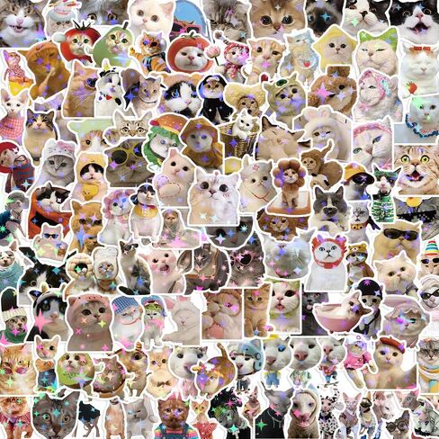 200 Pcs Funny Cat Stickers Cute Cat Meme Sticker for Adults Funny Holographic Glitter Animal Vinyl Waterproof Stickers for Water Bottles Laptops Phone Luggage Guitar in Kuwait