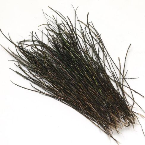 Natural Peacock Herl Feather Fly Tying Materials 180 Strands in Kuwait