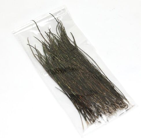 Natural Peacock Herl Feather Fly Tying Materials 180 Strands in Kuwait