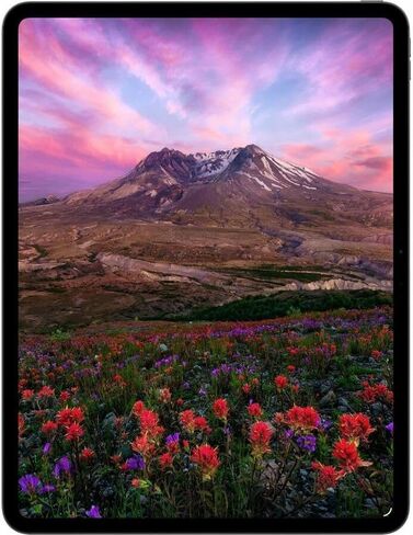 2025 Apple iPad Pro (11-inch, WiFi + Cellular, 256GB) Space Black (Renewed) in Kuwait
