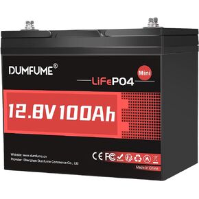 12V 100Ah Mini LiFePO4 Battery group 24 lithium battery in Kuwait